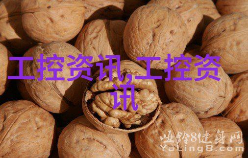 WXG-4 目视旋光仪钠灯